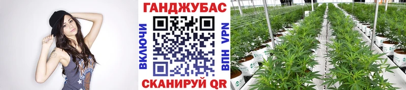Как найти наркотики Алапаевск ГАШИШ APVP МЕФ