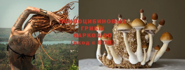 прущие крисы Абдулино